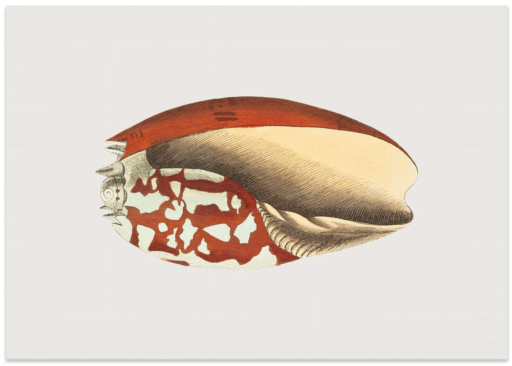 Ethiopian Crown