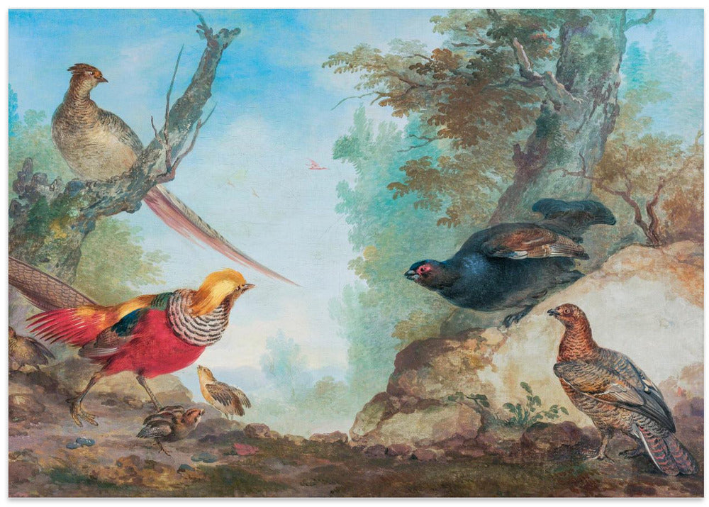 Pheasants