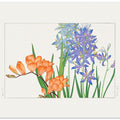 Freesia Flower
