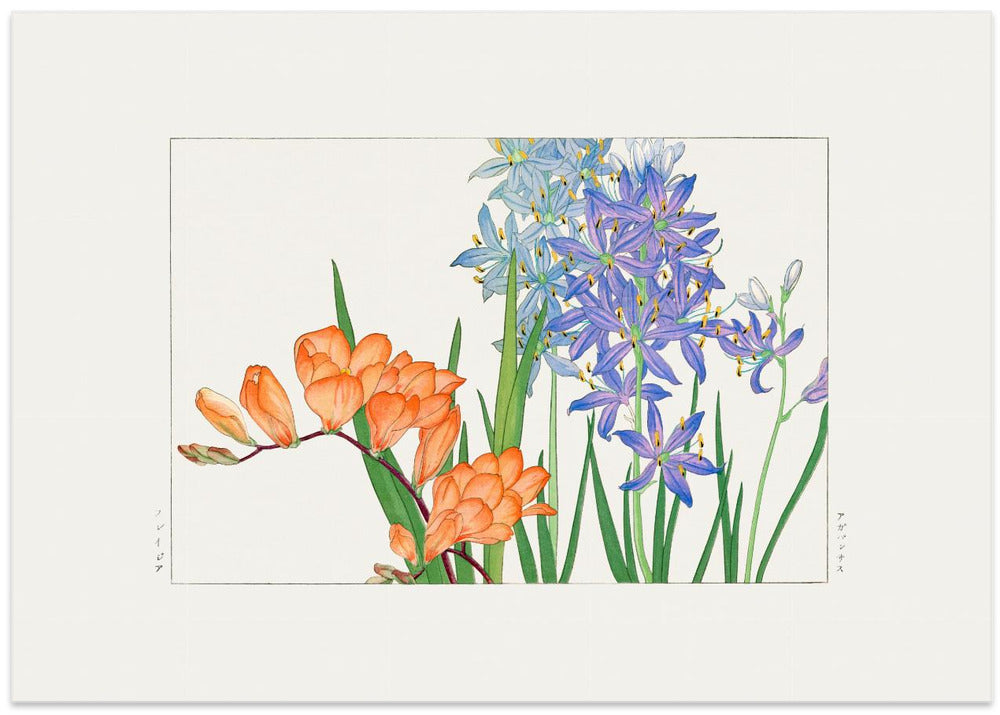 Freesia Flower