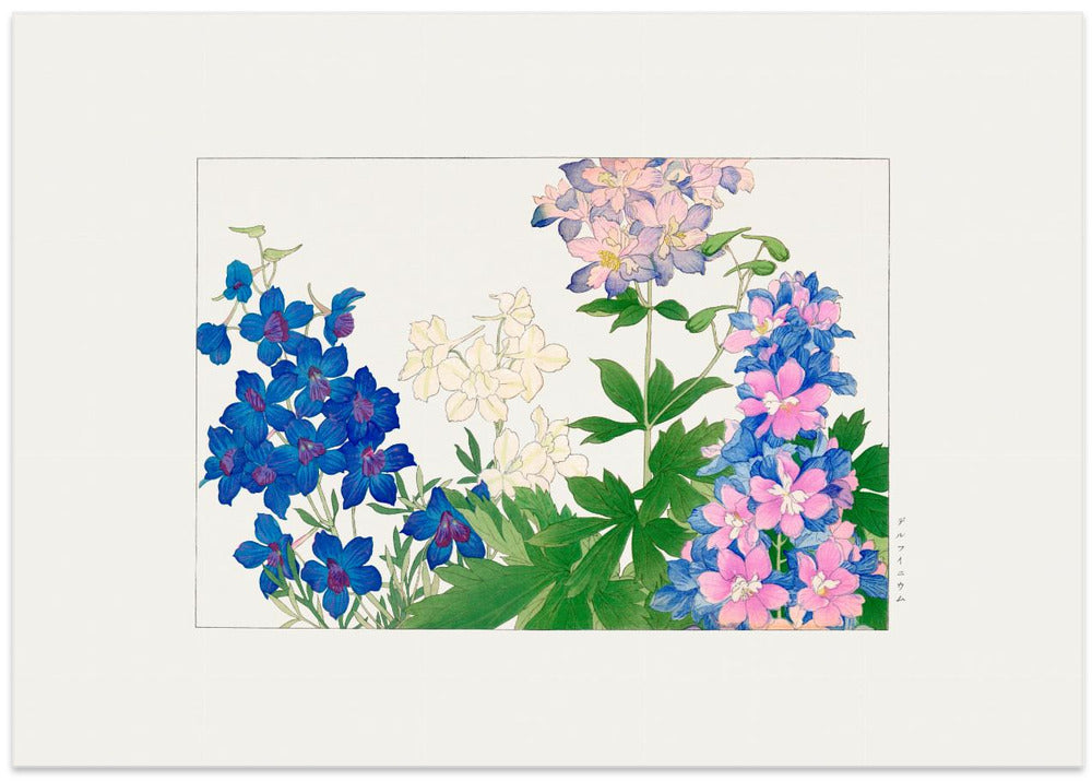 Delphinium Flower