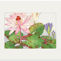 Nymphaea Lotus No.1