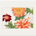 Dahlia Flower