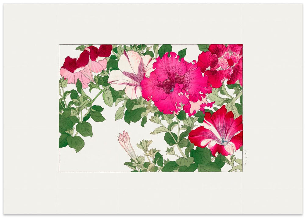 Vintage Petunia Flower