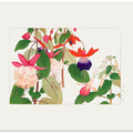 Fuchsia Flower