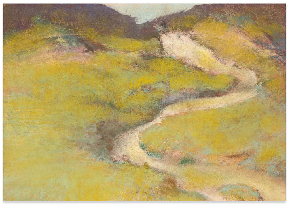 Pathway In a Field