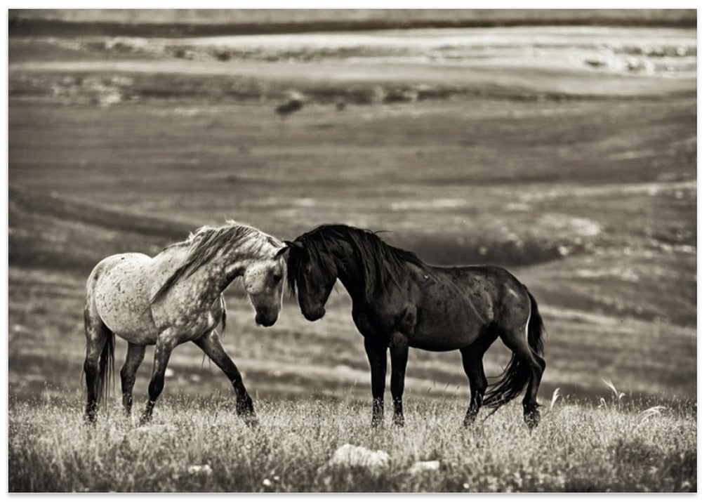 close encounter