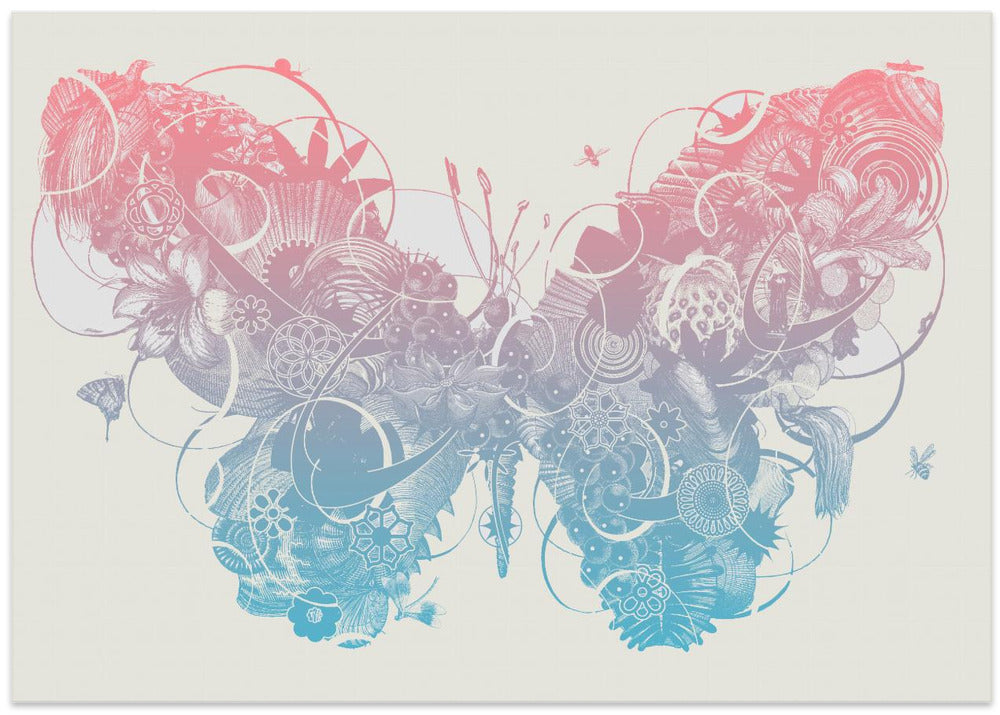 Butterfly 1