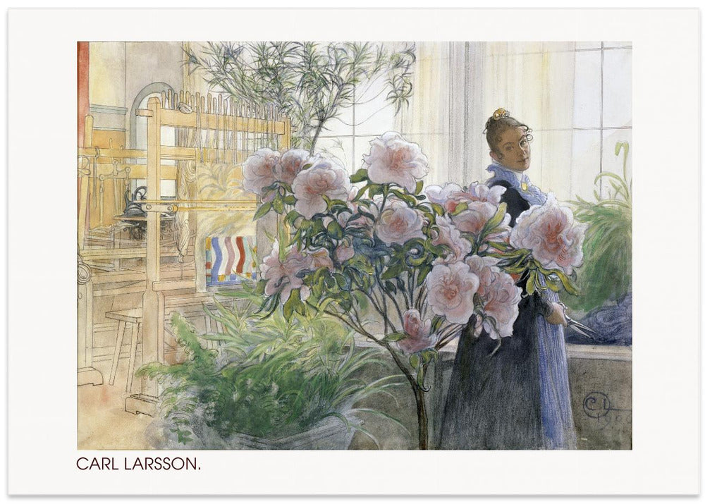Azalea (1906)