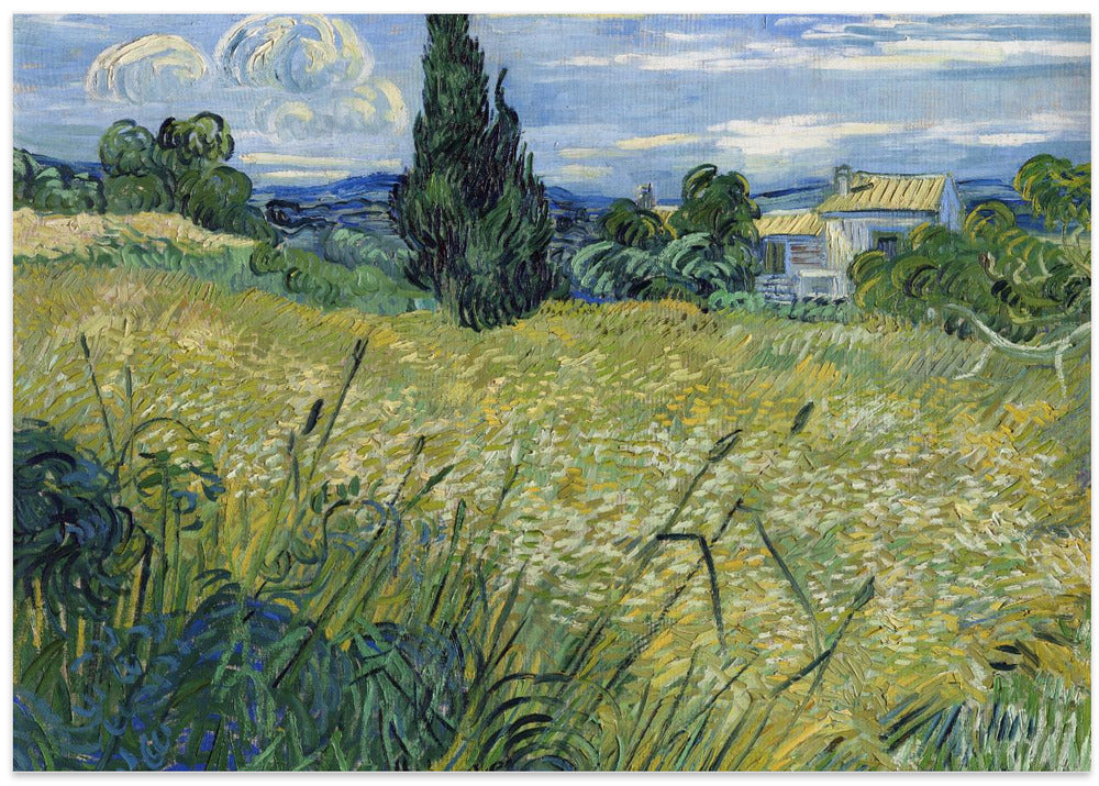 Green Wheat Field With Cypress (1889)