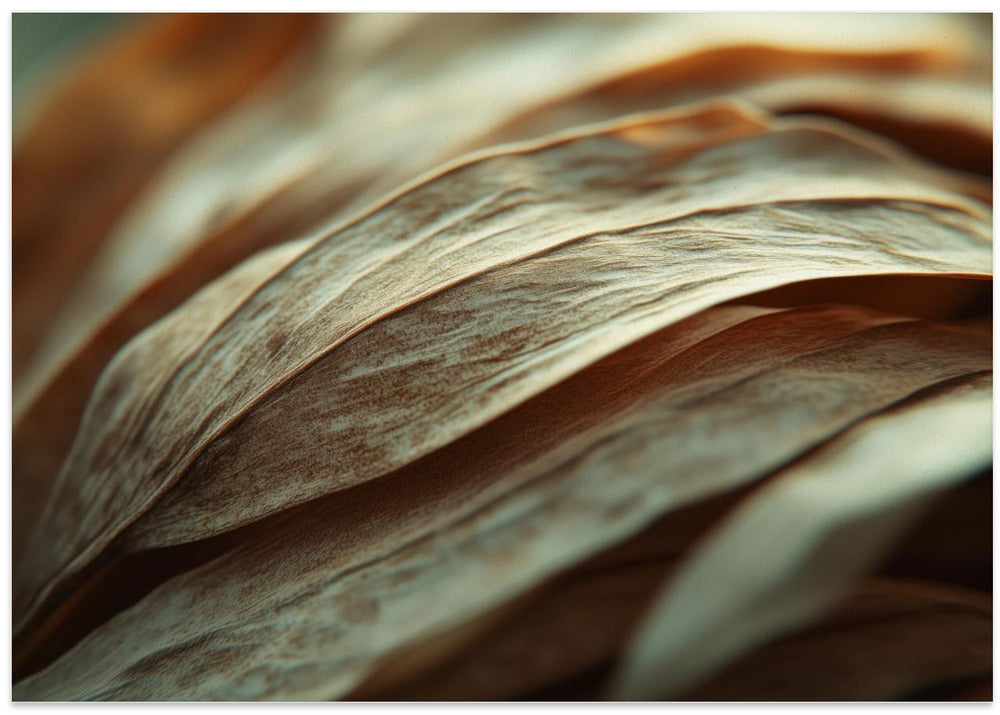 Rippling Petals