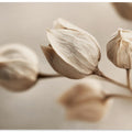 Whispering Petals