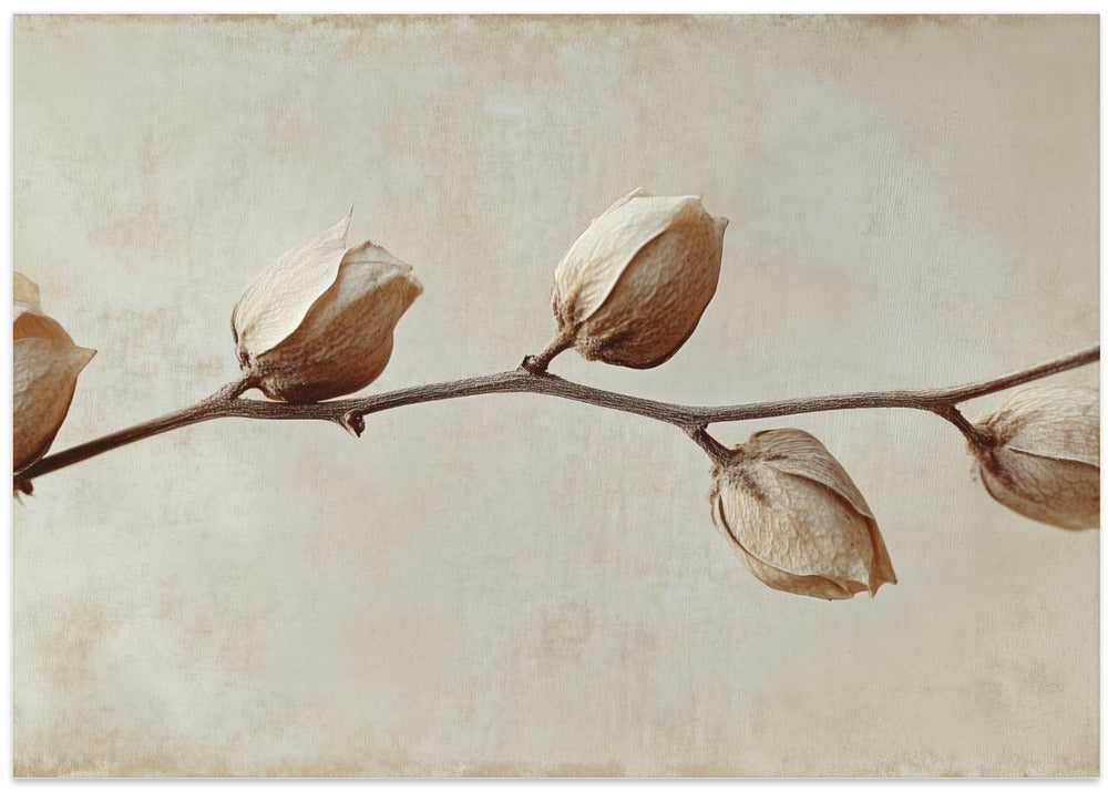 Faded Elegance