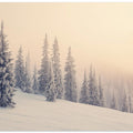 Winter Landscape Snowy Pines