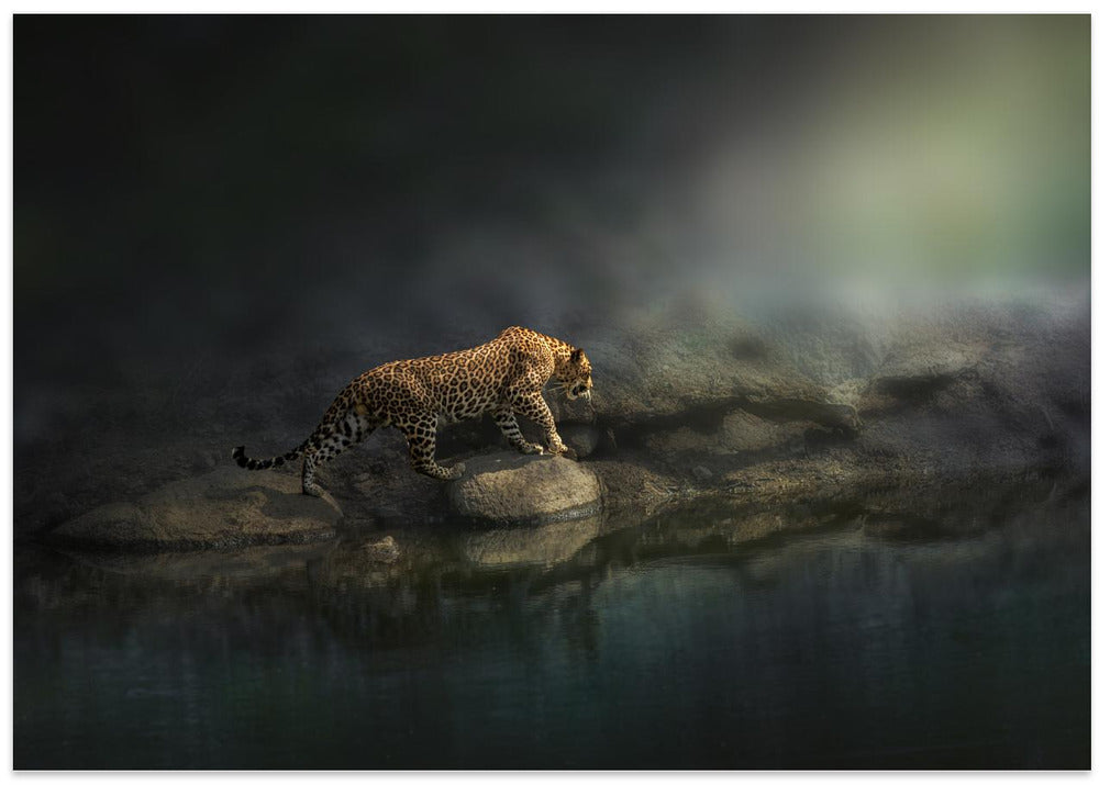 On the prowl