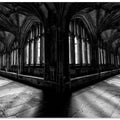 V-RAY