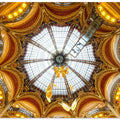 Butterflies in the dome