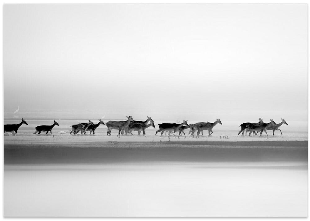 Silent Procession