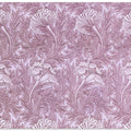 Purple Tulip