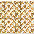 Tigerpatternno11