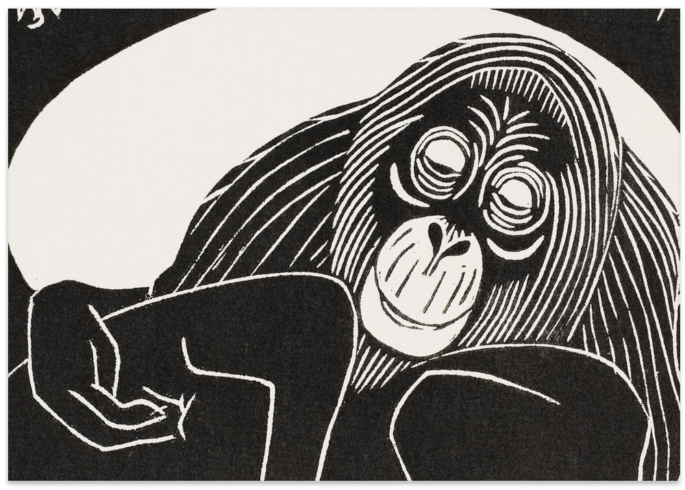 Orangutan