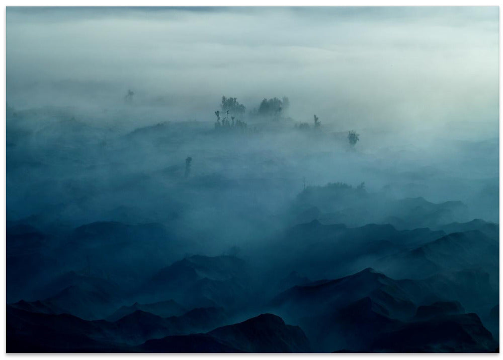 Land of Fog