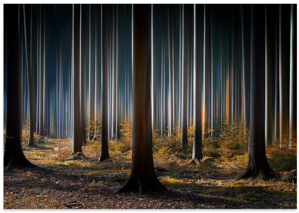 Mystic Wood