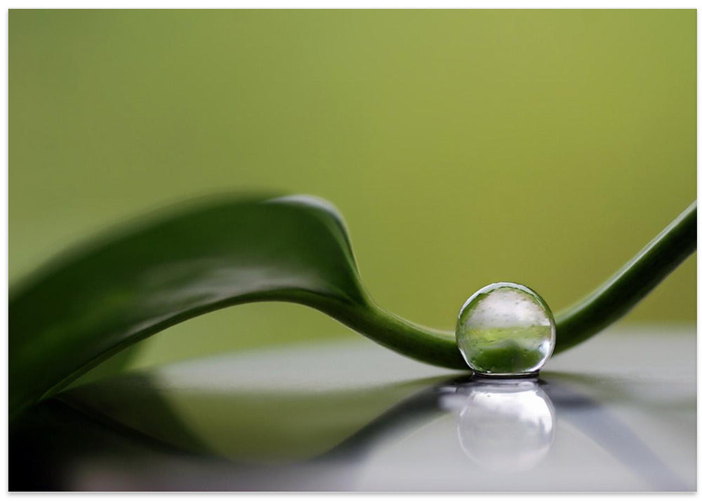 Green harmony