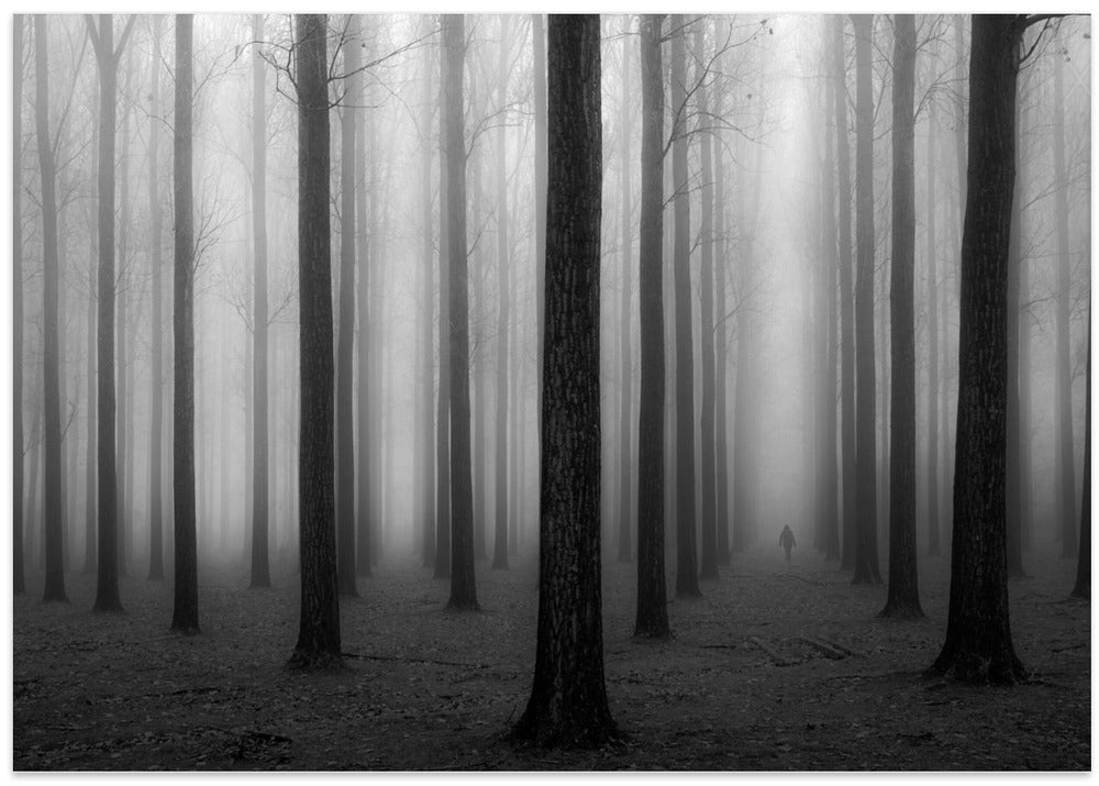 In a Fog