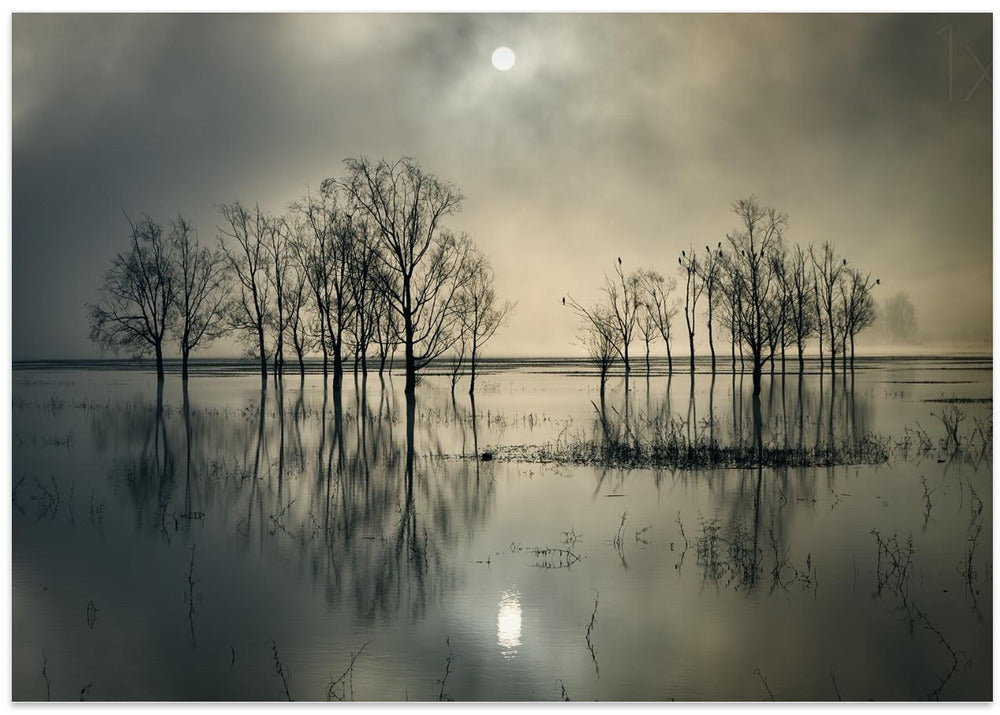 Lake's Secret