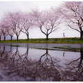 Rain of spring