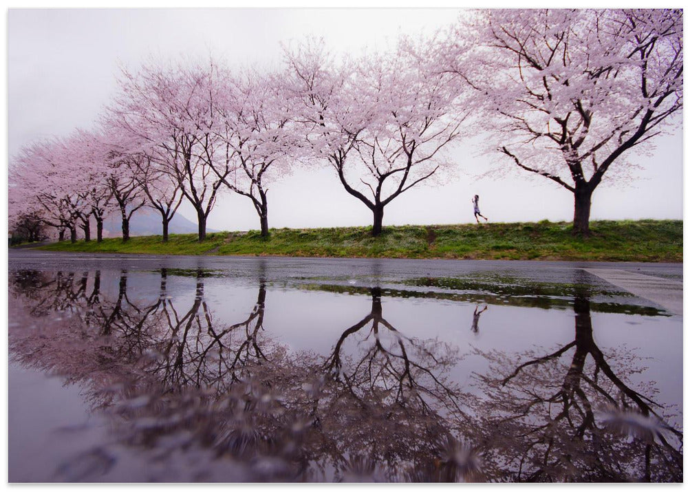 Rain of spring