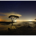 Moonrise