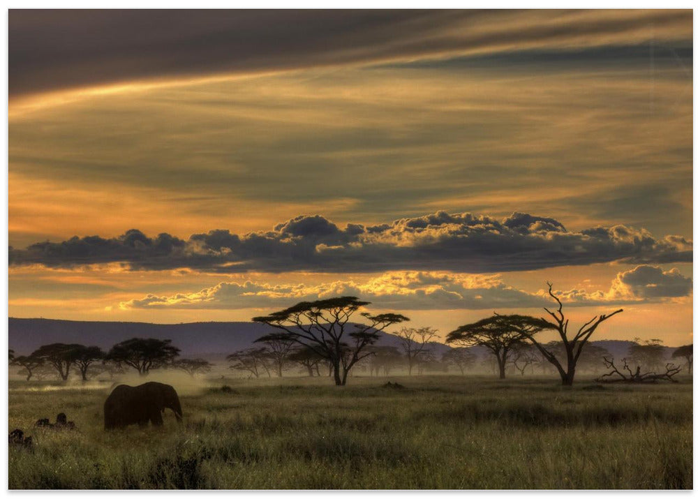 Africa