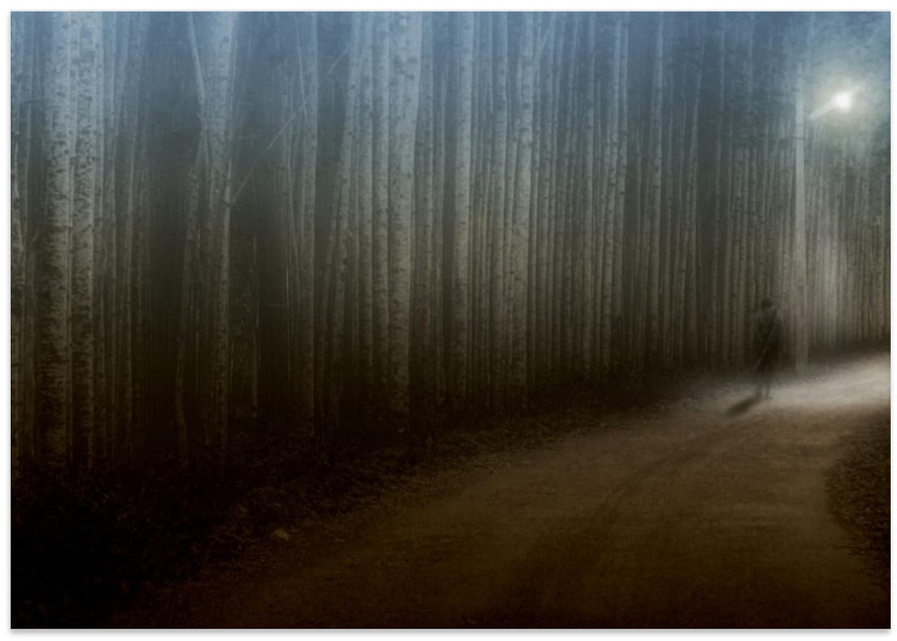 Countryside evening mood: Going home