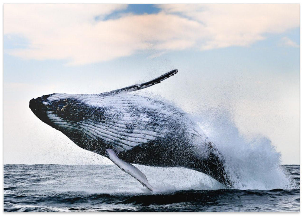 breach