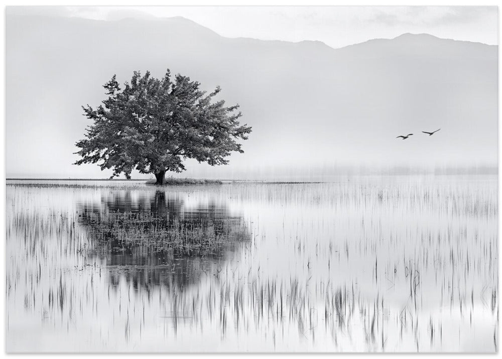 Spring Mirror