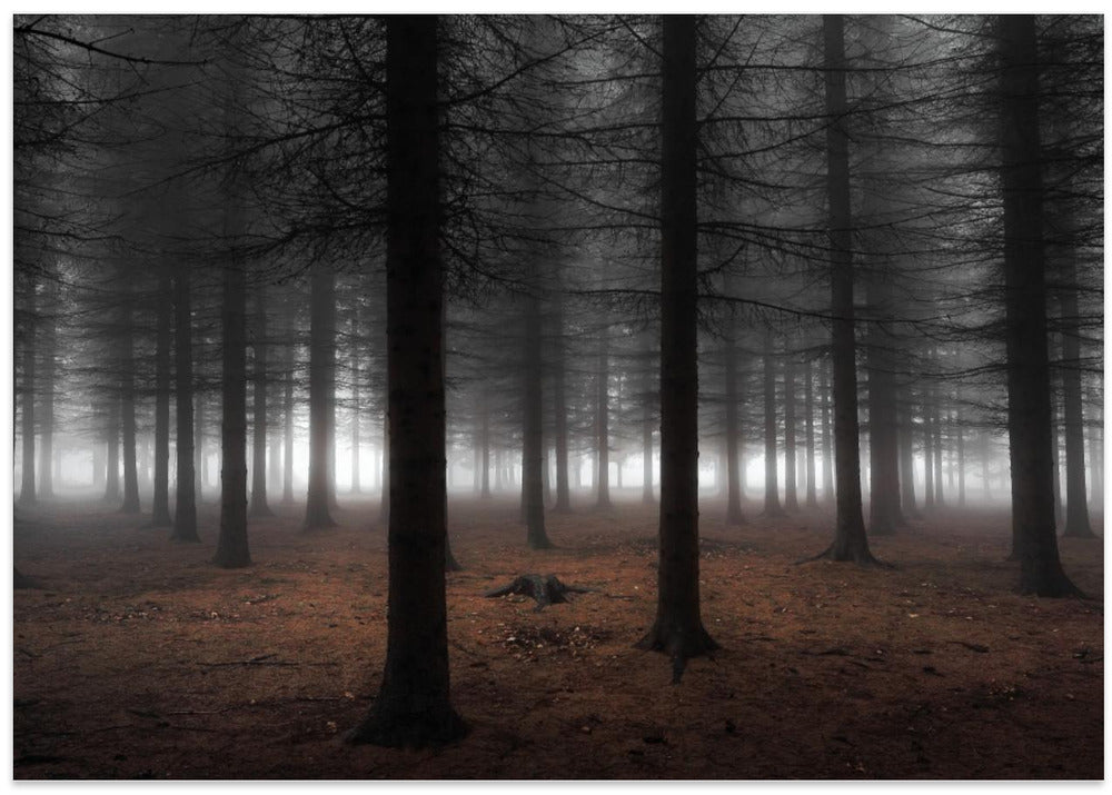 Silence