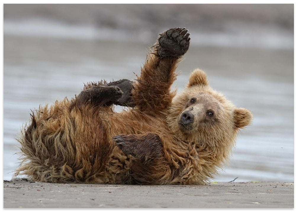 High Five
