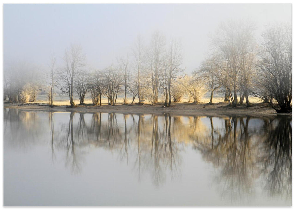 january morning