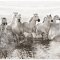 Illusion of power (13 horse power though)