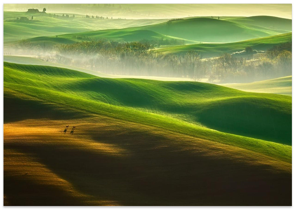 Freedom....