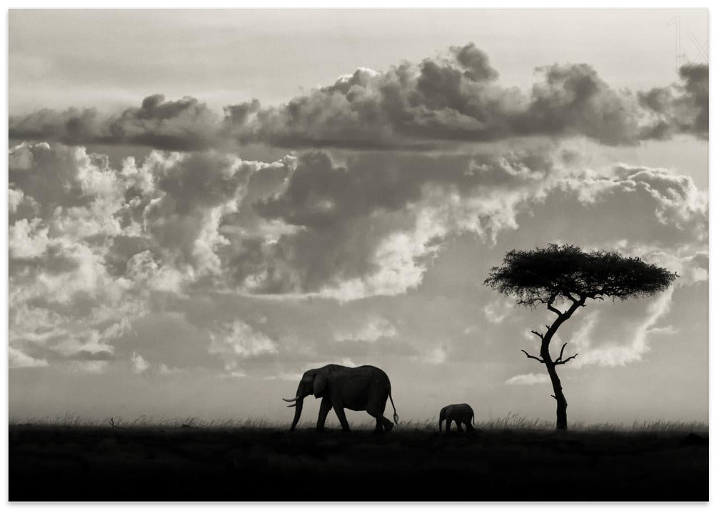 Silhouettes of Mara