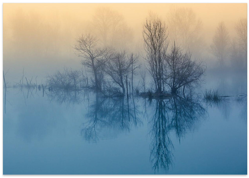 Morning reflection