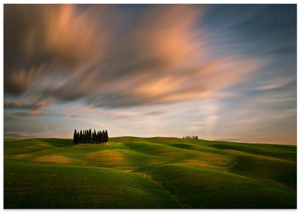 Fields...