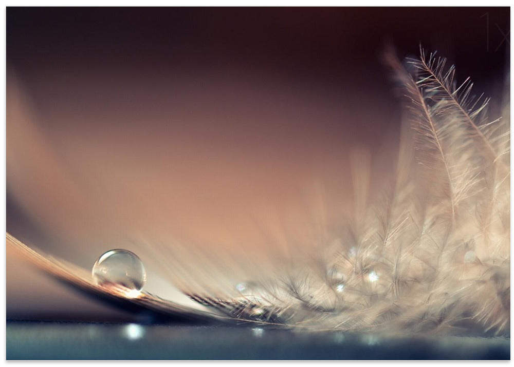 Stories of Drops