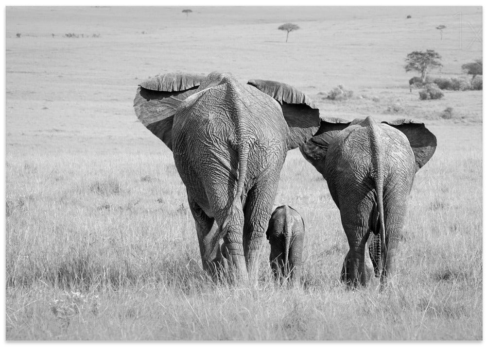 Three Butts!