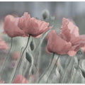 Softly