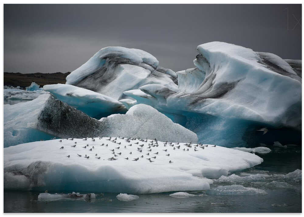 In the Land of Fire and Ice
