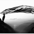 Free as the wind